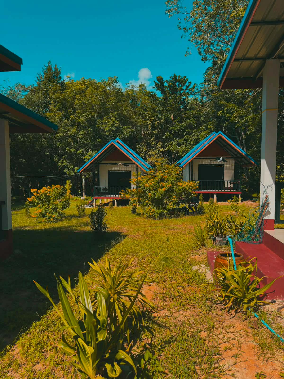 Twin bungalow garden exterior